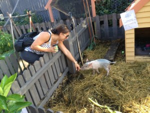 NN & future bacon...